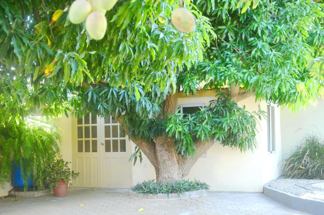Homey Vacation And Carrental Willemstad Exterior foto